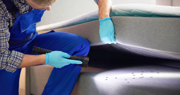 Best Affordable Pest Control Services  in Rawls Springs, MS